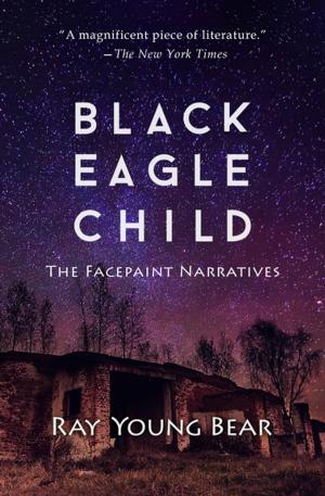 Cover of the book Black Eagle Child by Rexanne Becnel