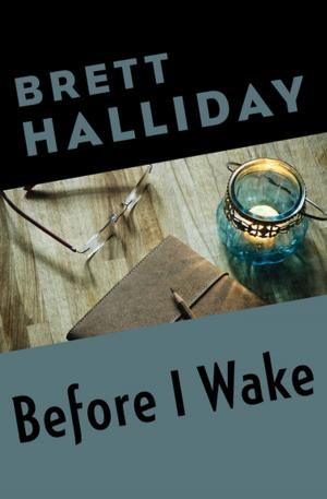 Cover of the book Before I Wake by Allan Cole
