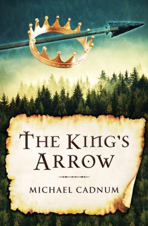 Book cover of The King's Arrow