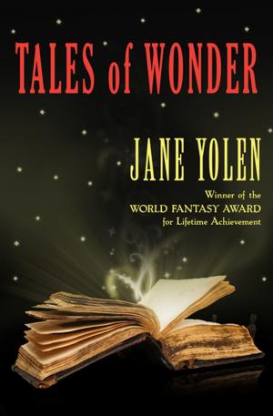 Cover of the book Tales of Wonder by Eleanor Arnason, Nancy Springer, Elizabeth Hand