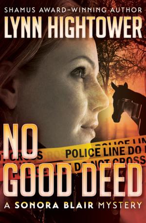 Cover of the book No Good Deed by Natalie Goldberg