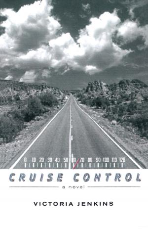 Cover of the book Cruise Control by Jennifer Gostin