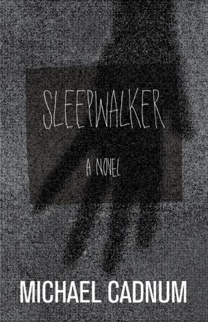Cover of the book Sleepwalker by SYLVIE COMTOIS