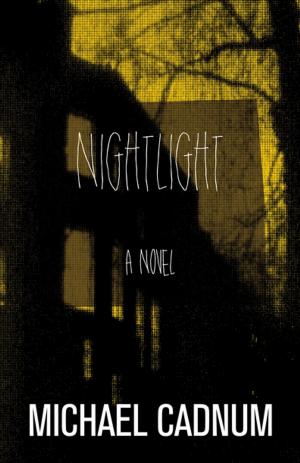 Cover of the book Nightlight by Rachel Simon