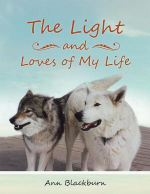 Cover of the book The Light and Loves of My Life by Gösta Knutsson