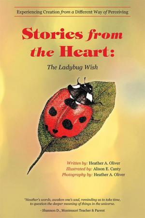 Cover of the book Stories from the Heart: the Ladybug Wish by Star Light