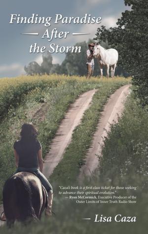 Book cover of Finding Paradise After the Storm