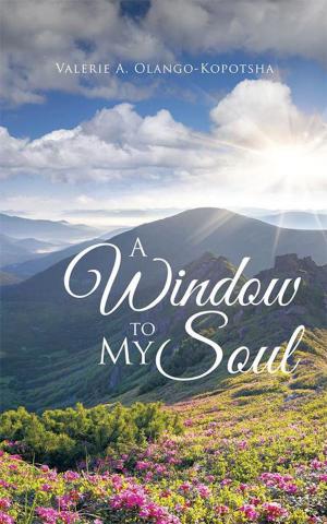 Cover of the book A Window to My Soul by William S. Young