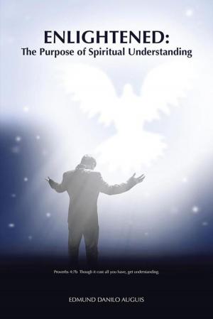 Cover of the book Enlightened by John Costella