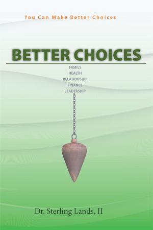 Cover of the book Better Choices by M. Endsley