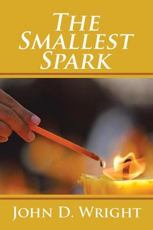 Book cover of The Smallest Spark