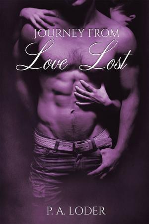 Book cover of Journey from Love Lost