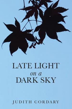 Cover of the book Late Light on a Dark Sky by Dave O'Riordan