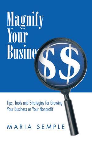 Book cover of Magnify Your Business