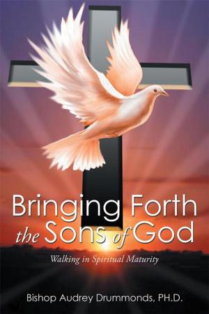bigCover of the book Bringing Forth the Sons of God by 
