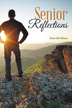 Cover of the book Senior Reflections by Kathy Welter Nichols