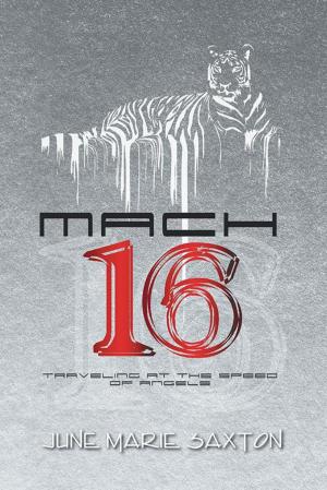 Book cover of Mach 16