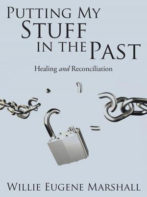 Cover of the book Putting My Stuff in the Past by A.J. O'Connell
