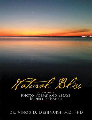 Cover of the book Natural Bliss by Glenn A. Edwards