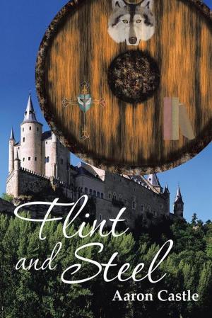 Cover of the book Flint and Steel by Veronica O' Connor