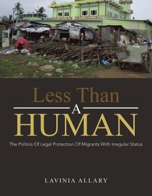 bigCover of the book Less Than a Human by 