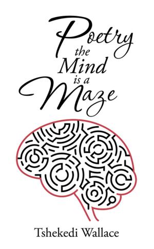 Cover of the book Poetry, the Mind Is a Maze by Shivcharran Hulasie