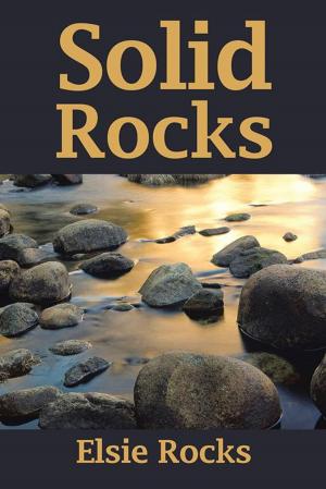 Cover of the book Solid Rocks by Judythe Patberg