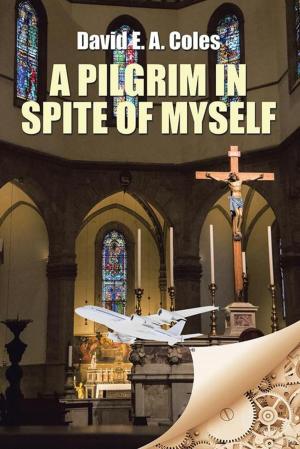 Cover of the book A Pilgrim in Spite of Myself by John Mensah