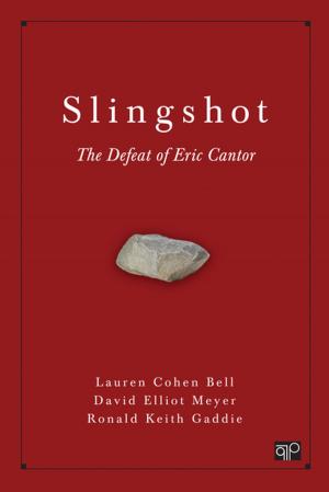 Cover of the book Slingshot by Professor Nigel Lockett, Catherine Wang, Dr. Richard Blundel