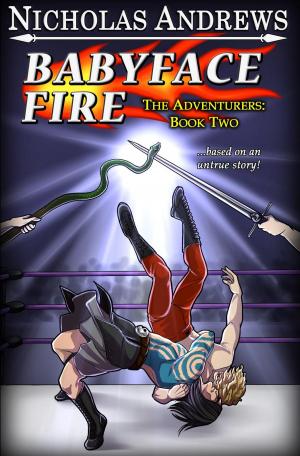 Cover of the book Babyface Fire by Robin Stephen