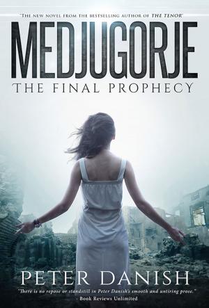 Cover of the book Medjugorje by Naty Matos
