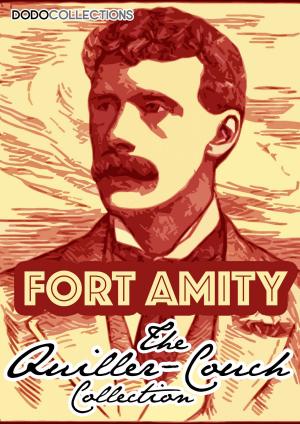Cover of the book Fort Amity by GILLIAN HIGGINS