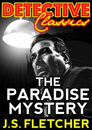 Cover of the book The Paradise Mystery by Kate Walker