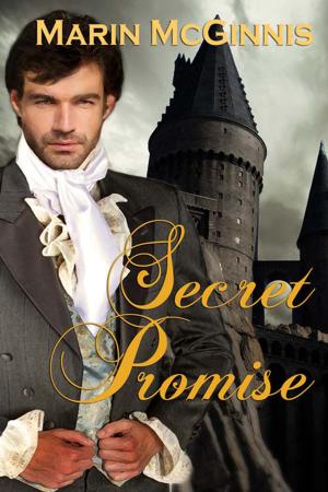 Cover of the book Secret Promise by Brandy Schmitt