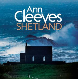 Book cover of Shetland