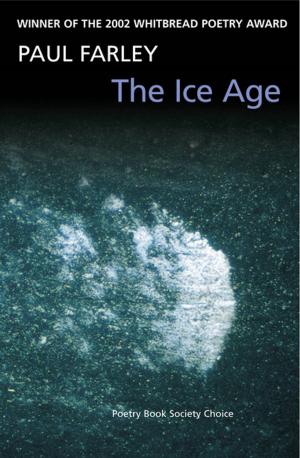 Cover of the book The Ice Age by Ann Schlee