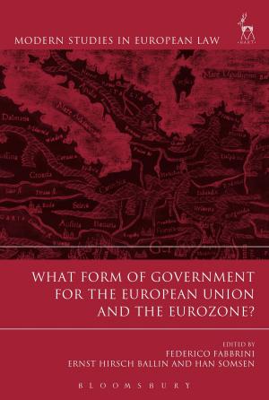 Cover of the book What Form of Government for the European Union and the Eurozone? by Philip Haythornthwaite