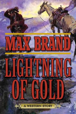 Cover of the book Lightning of Gold by Joanna Pruess, Battman