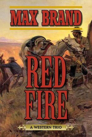 Cover of the book Red Fire by Keith Lowell Jensen