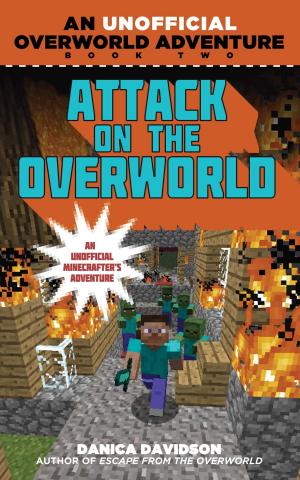 Cover of the book Attack on the Overworld by Danica Davidson