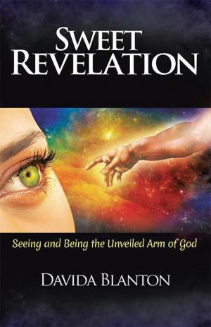 Cover of the book Sweet Revelation by Michal D. Winters