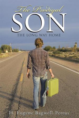 Cover of the book The Prodigal Son by Randall Johnson