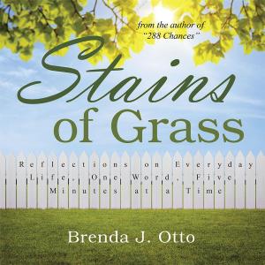 Cover of the book Stains of Grass by Kay J. Mahne