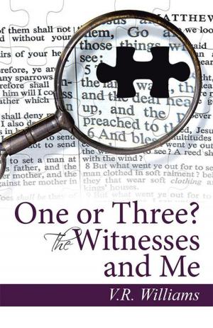 Cover of the book One or Three? the Witnesses and Me by David T. Steineker