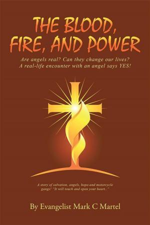 Cover of the book The Blood, Fire, and Power by Lesley Ann Richardson