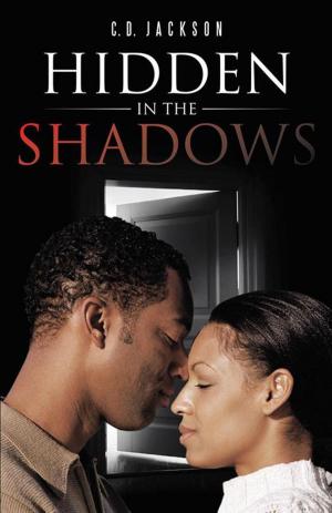 Cover of the book Hidden in the Shadows by D.C. Shaw