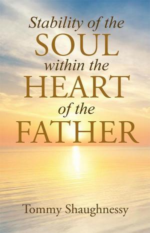 Cover of the book Stability of the Soul Within the Heart of the Father by Brother David Lee