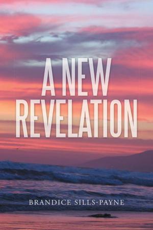 Cover of the book A New Revelation by Brenda L. Hanson