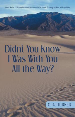 bigCover of the book Didn’T You Know I Was with You All the Way? by 