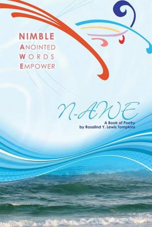 Cover of the book Nimble Anointed Words Empower N-Awe by John Foster Holman